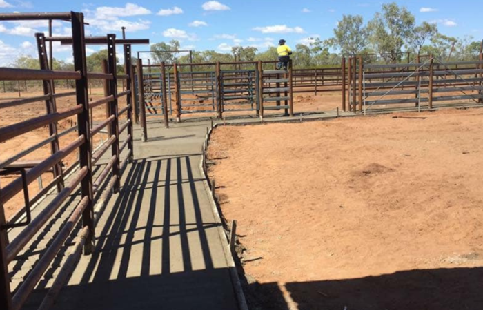 Cattle yard loading ramp - Blocka's Rural and Earthworx, Warwick QLD