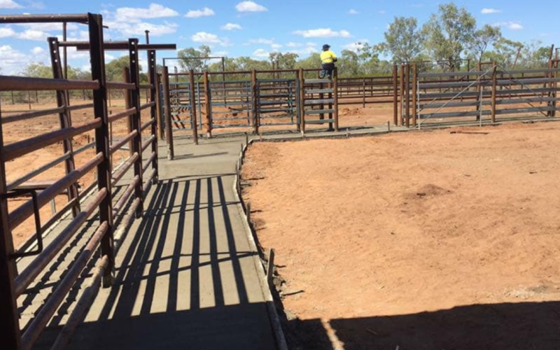 Cattle yard loading ramp - Blocka's Rural and Earthworx, Warwick QLD