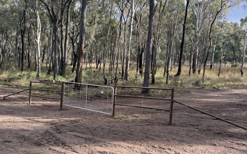 Land clearing rural block - Blocka's Rural and Earthworx, Warwick QLD